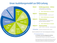 Ausbildungsmodell zur EKG-Leitung mit vier Modulen, Lernphasen, Präventionsseminar und zusätzlichen Seminaren für Teilnehmende ohne pädagogische Vorbildung.