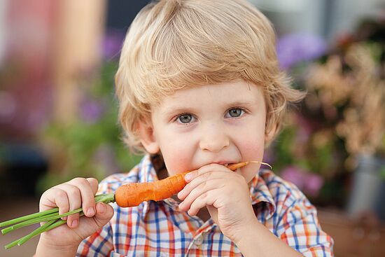 Wesensgerechte Pflanzenernährung für gesunde Lebensmittel
"Mensch um 7"