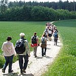 Eine Menschengruppe geht einen Feldweg entlang. Links und rechts ist grüne Wiese. Ein Wegschild weist den Jakobsweg.