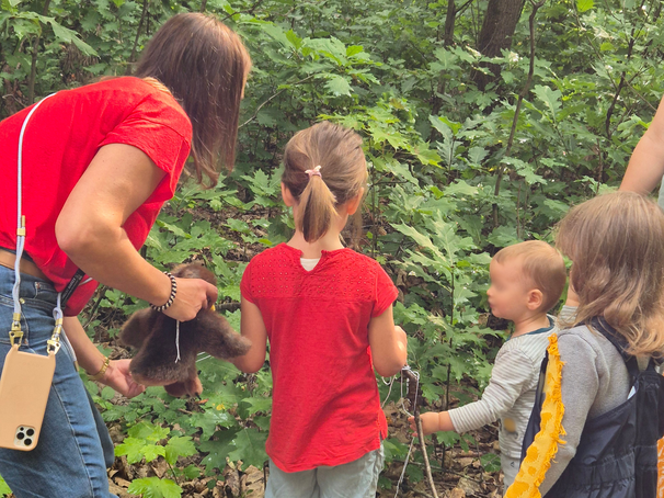 Eine Frau und mehrere Kinder stehen im Wald zwischen grünen Büschen und Bäumen. Die Frau hält ein braunes Kuscheltier, während die Kinder aufmerksam auf etwas im Gebüsch schauen. Der Boden ist mit Laub bedeckt, und die Kinder tragen wetterfeste Kleidung und feste Schuhe. Die Szene wirkt wie eine Naturerkundung oder ein Lernmoment im Freien.
